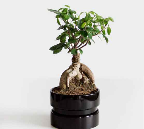 无死角监控的恶意发送验证短信